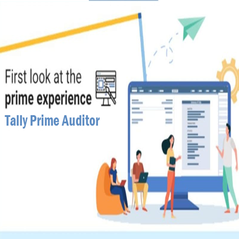 Tally Prime Auditor